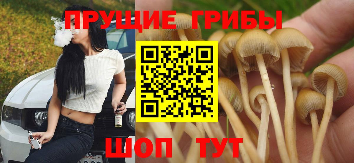 Галлюциногенные грибы прущие грибы  Галлюциногенные грибы Psilocybine cubensis  что такое   Ухта  Вход с VPN 
